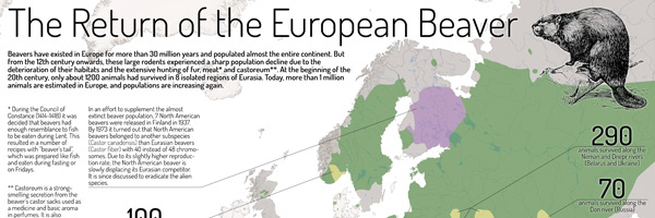The Return of the European Beaver by Jonas Beinder